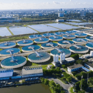 Diseño preliminar del Layout de la planta